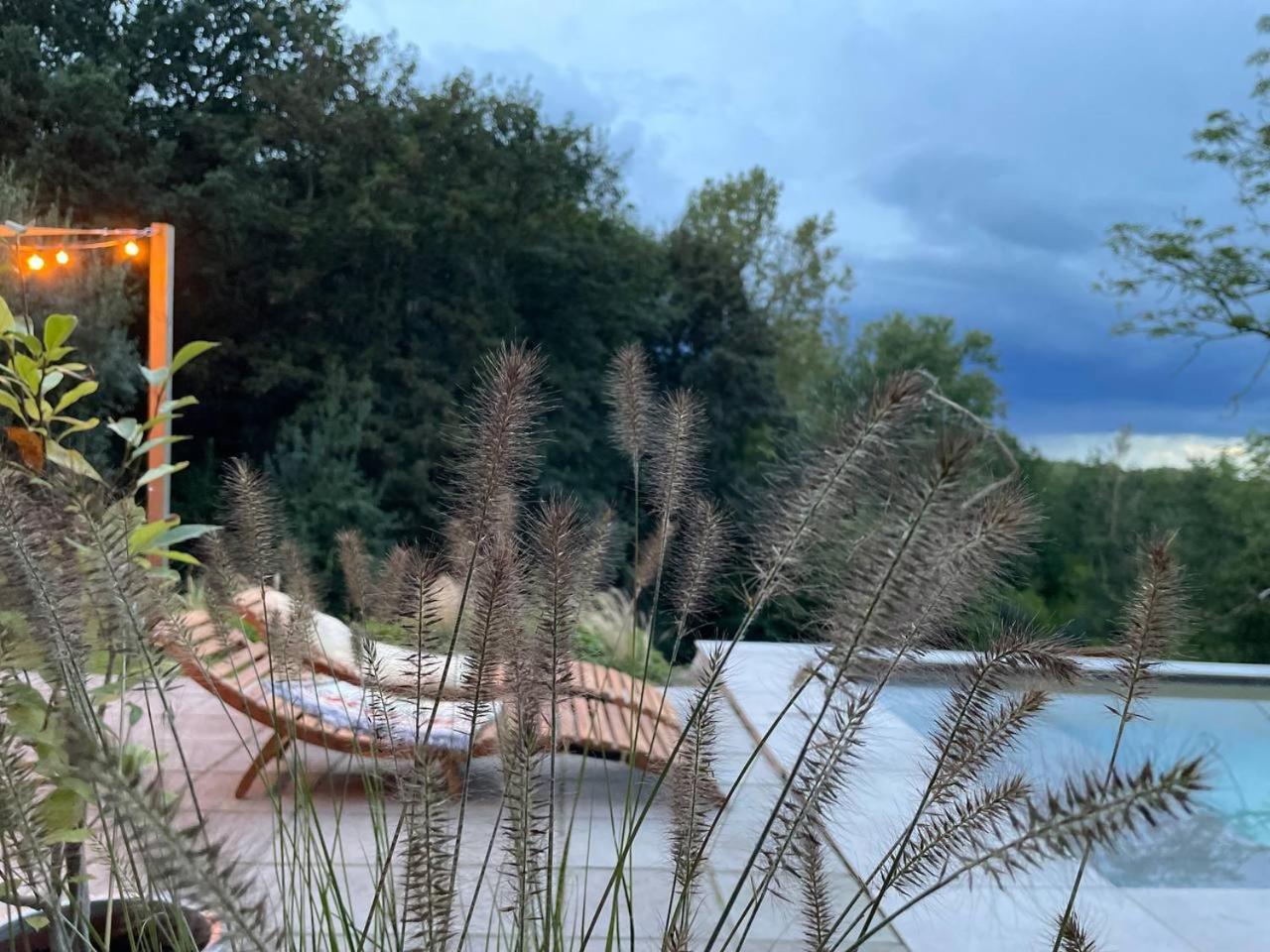 La Canopee Des Arbres, Juliette Ellezelles Exterior photo